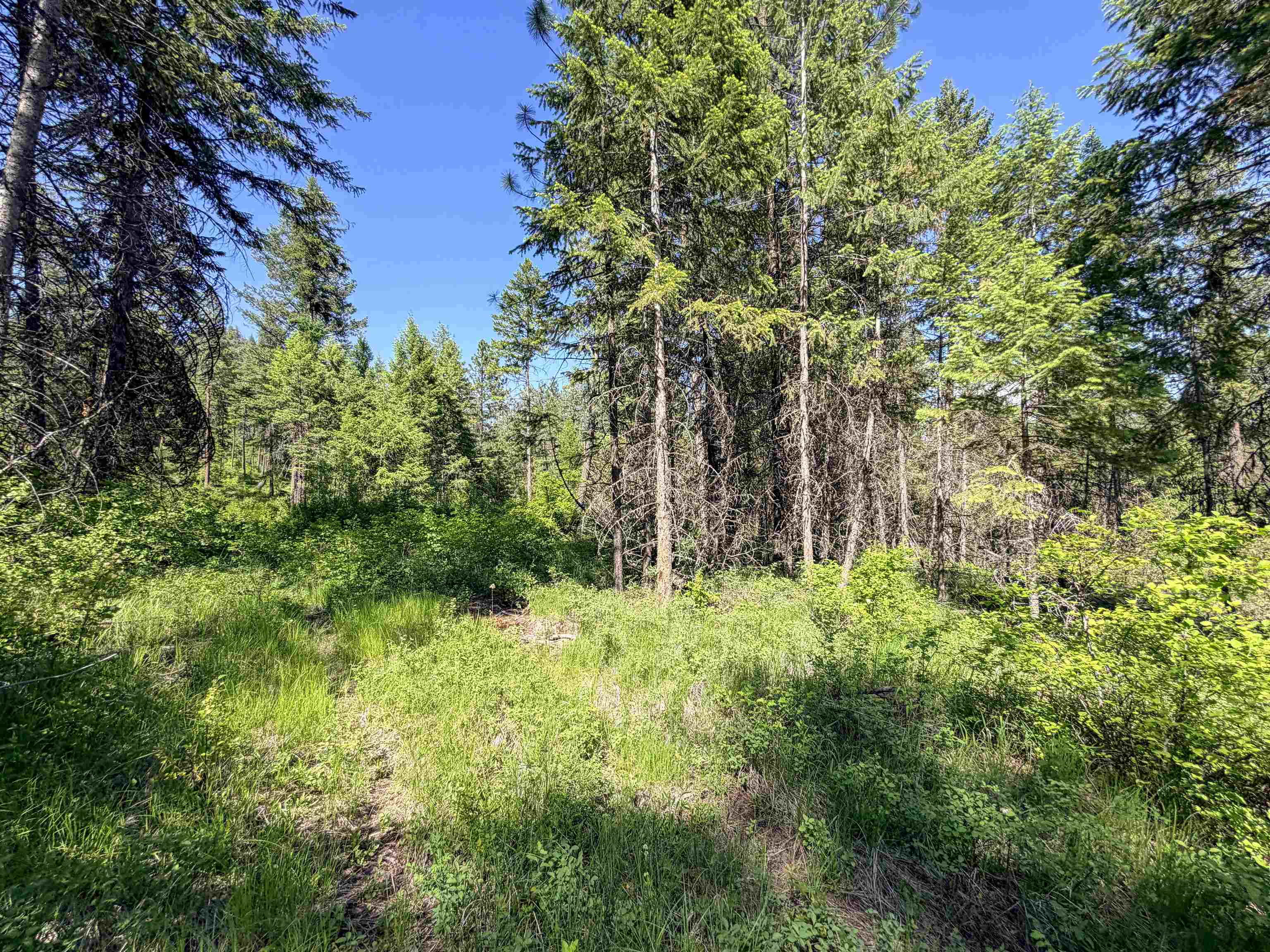 2008-tbd (e-h) Summit Valley Road Addy, WA 99101 - Photo 20 of 20