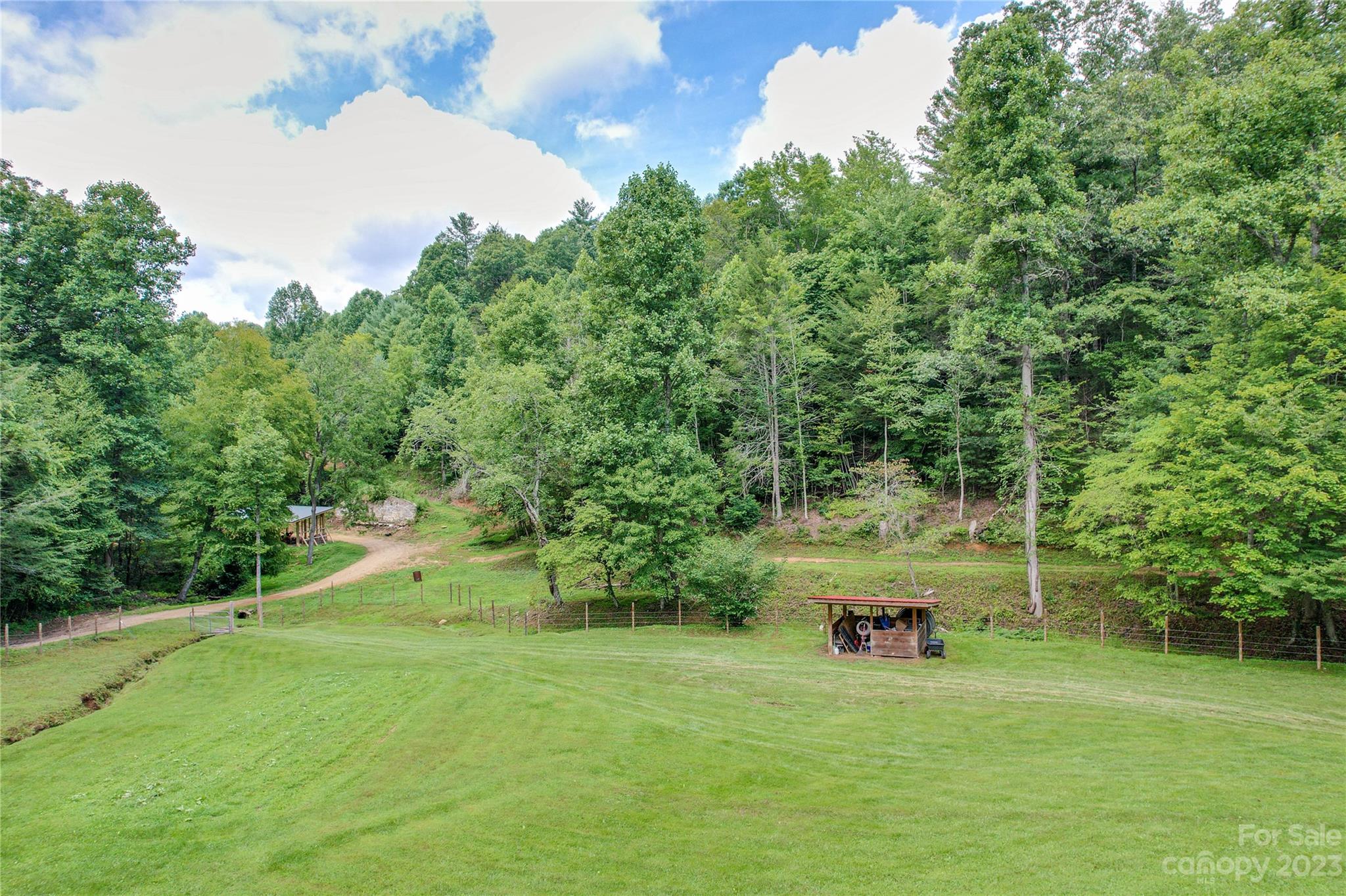 3113 Revere Road Marshall, NC 28753 - Photo 11 of 47 a view of a field with a tree