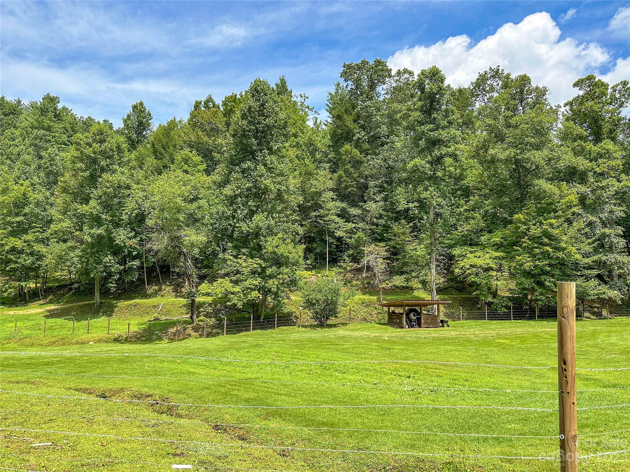 3113 Revere Road Marshall, NC 28753 - Photo 12 of 47 a front view of a house with a yard