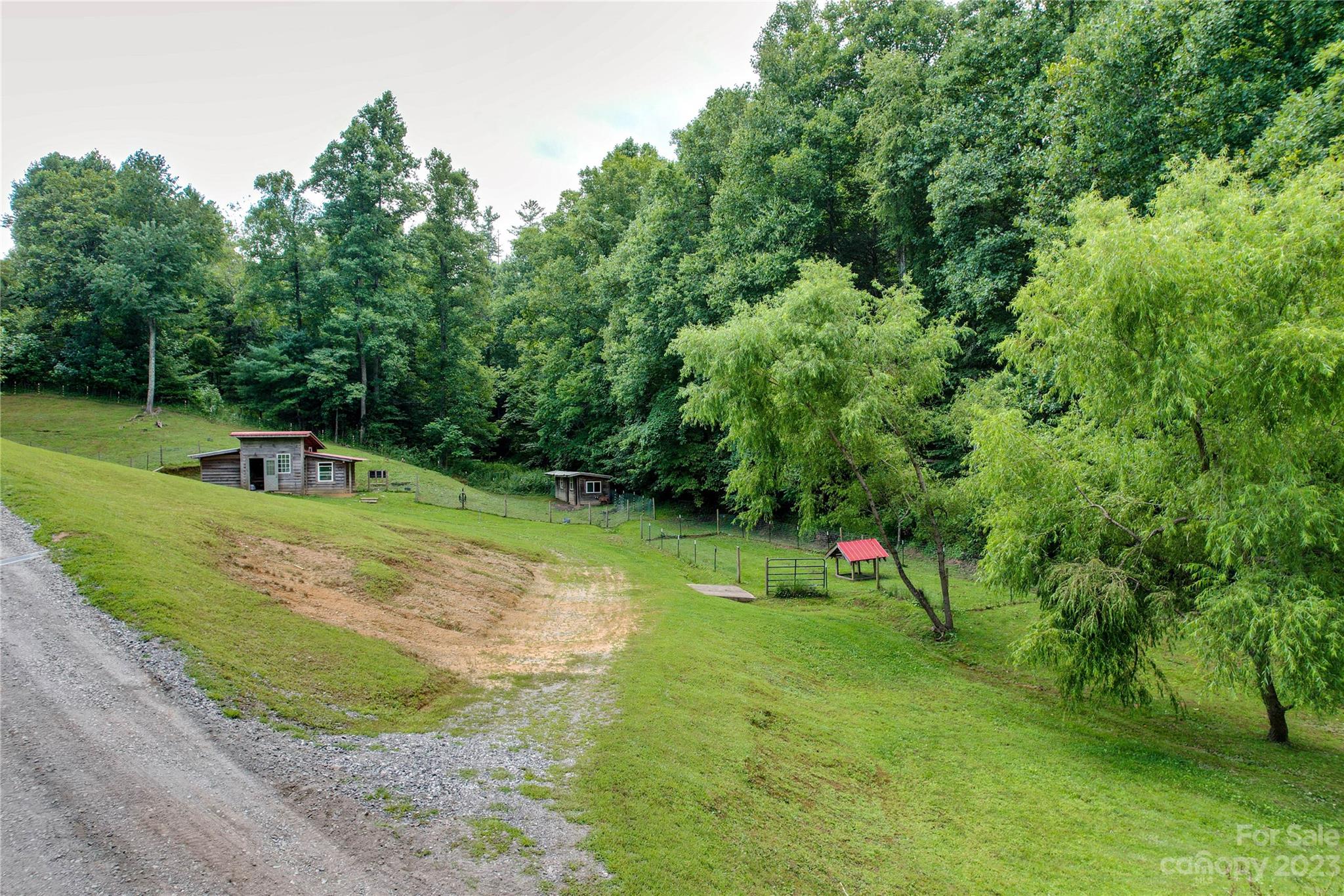 3113 Revere Road Marshall, NC 28753 - Photo 16 of 47 a green field with lots of trees in it
