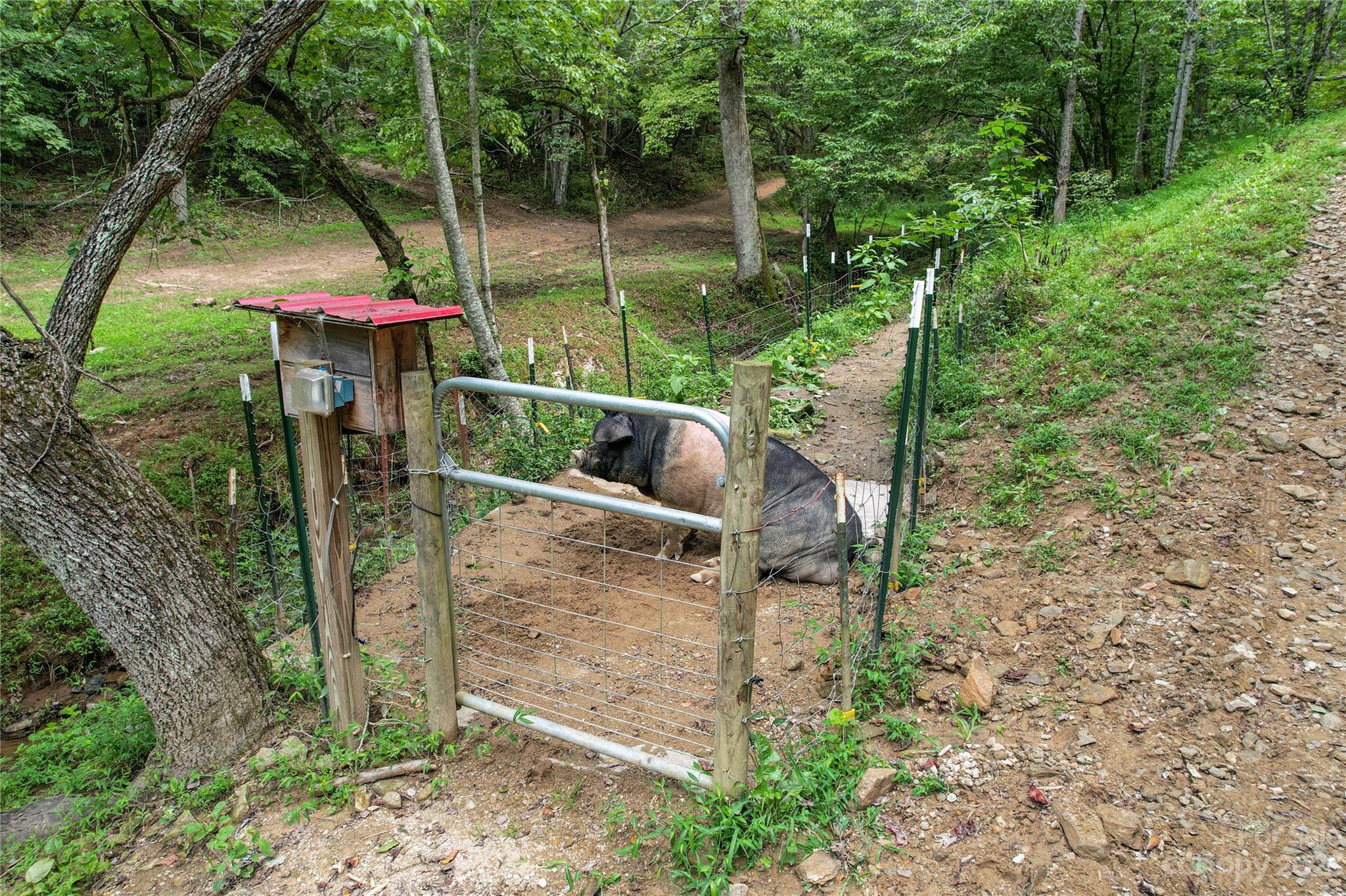 3113 Revere Road Marshall, NC 28753 - Photo 17 of 47 a garden view with a seating space