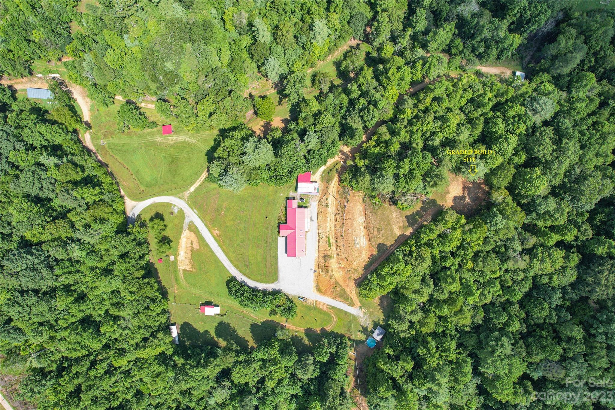 3113 Revere Road Marshall, NC 28753 - Photo 38 of 47 a view of a plant in a garden