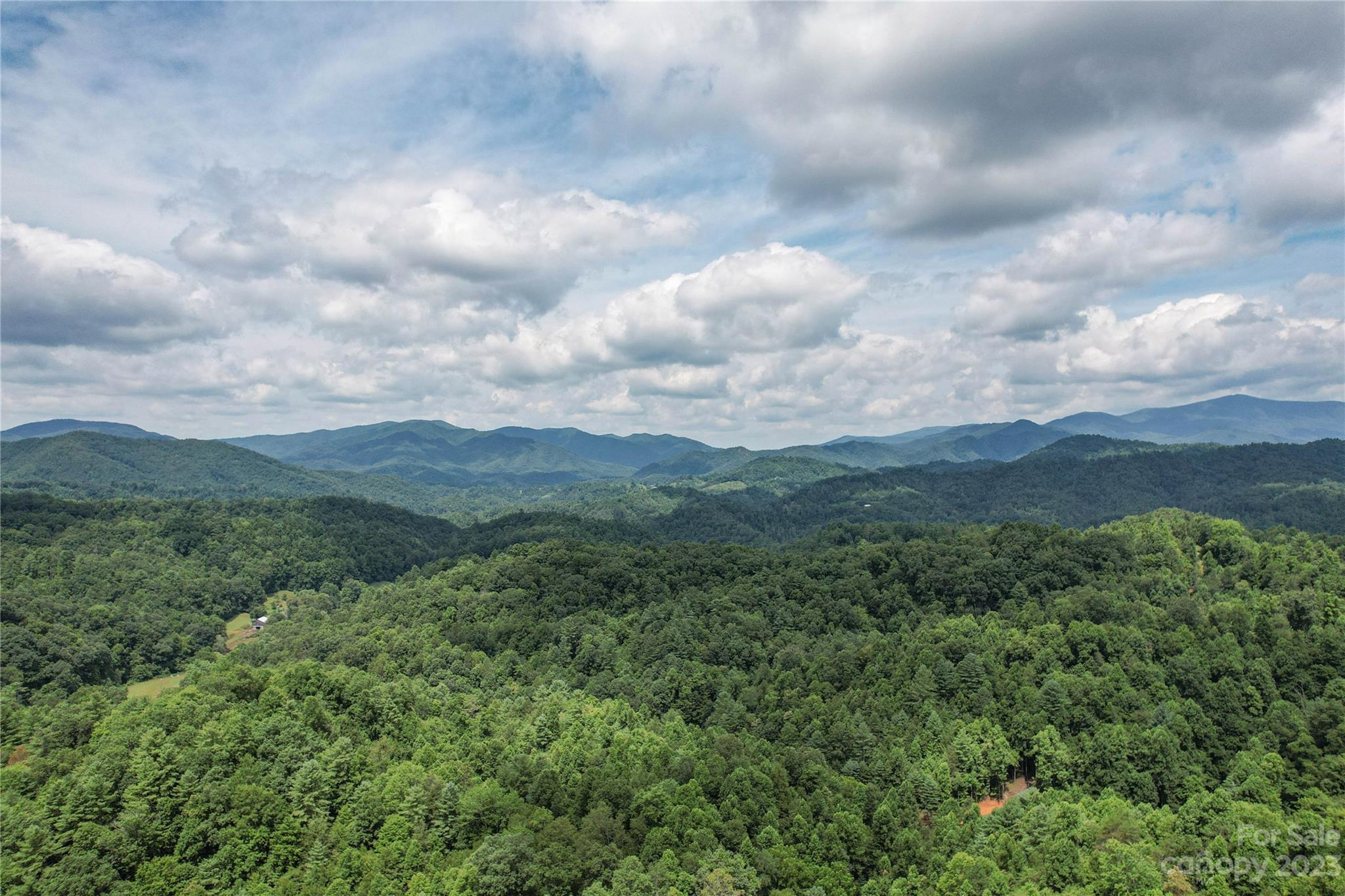 3113 Revere Road Marshall, NC 28753 - Photo 40 of 47 an aerial view of houses covered in trees