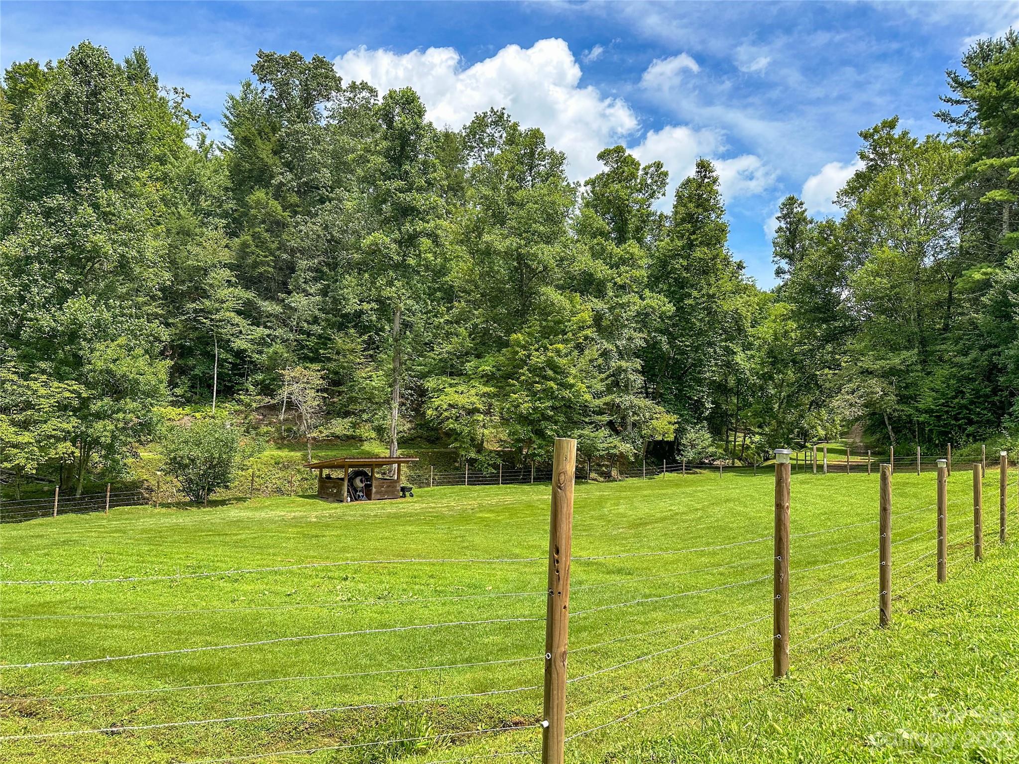 3113 Revere Road Marshall, NC 28753 - Photo 4 of 47 a view of yard with green space