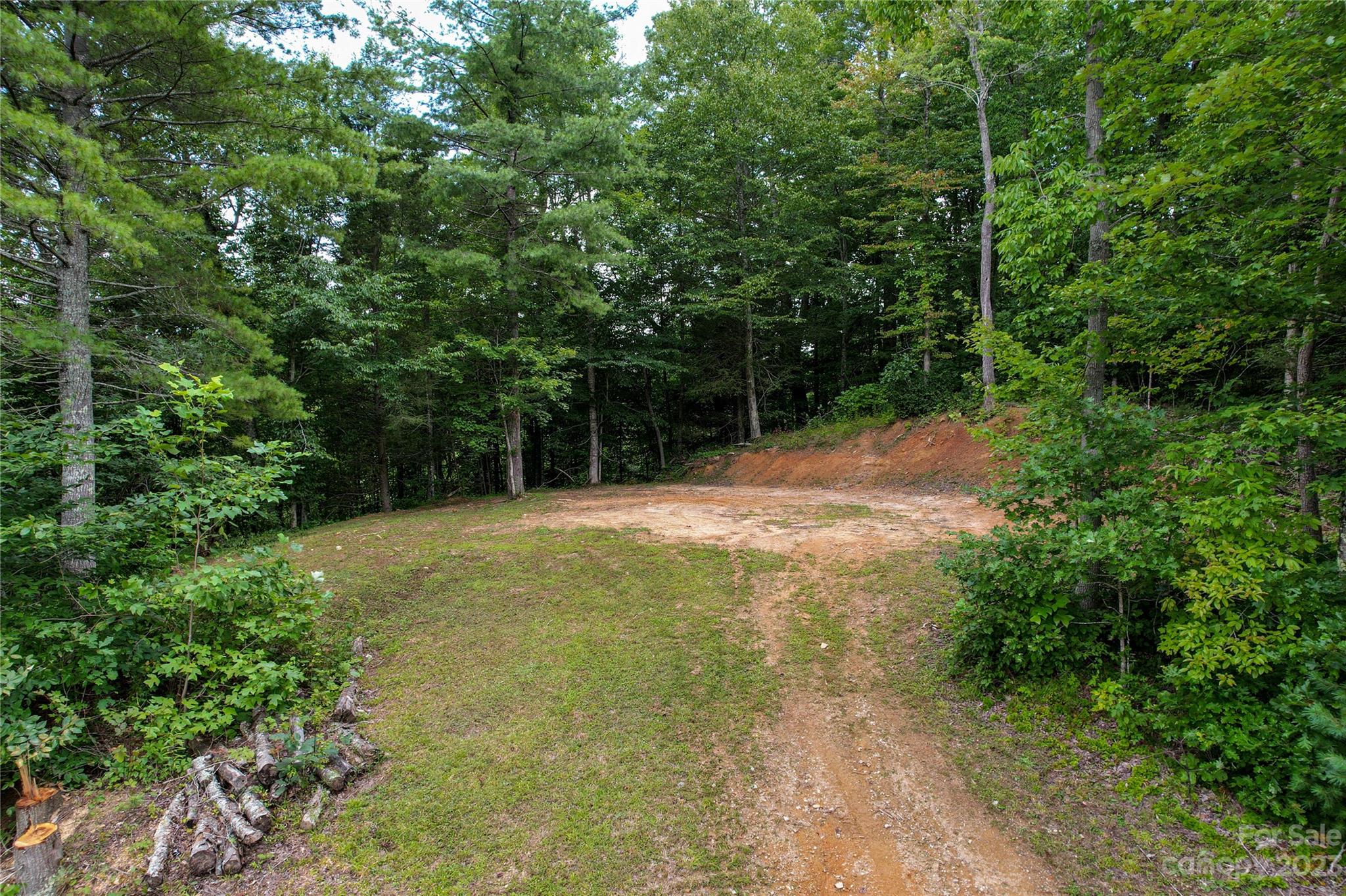 3113 Revere Road Marshall, NC 28753 - Photo 41 of 47 a view of backyard with tree