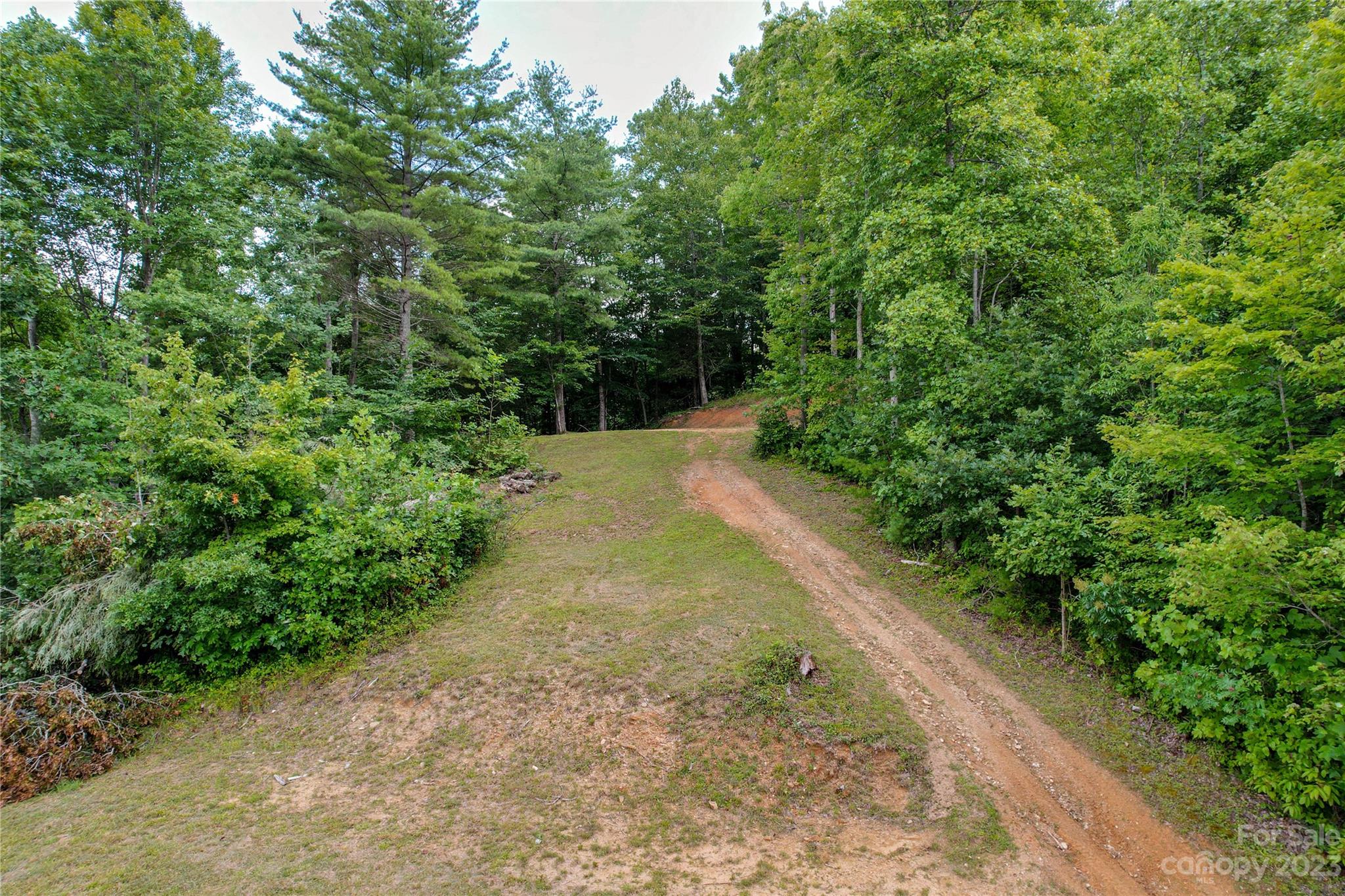 3113 Revere Road Marshall, NC 28753 - Photo 42 of 47 a view of a pathway both side of yard