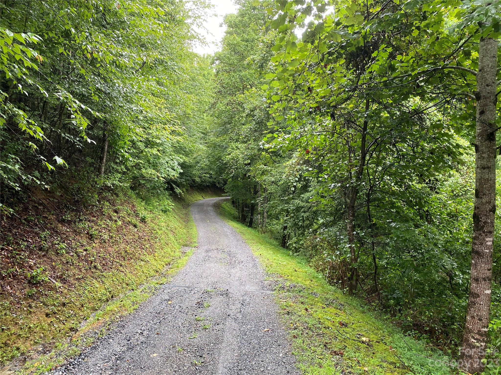 3113 Revere Road Marshall, NC 28753 - Photo 45 of 47 a view of a pathway both side of yard