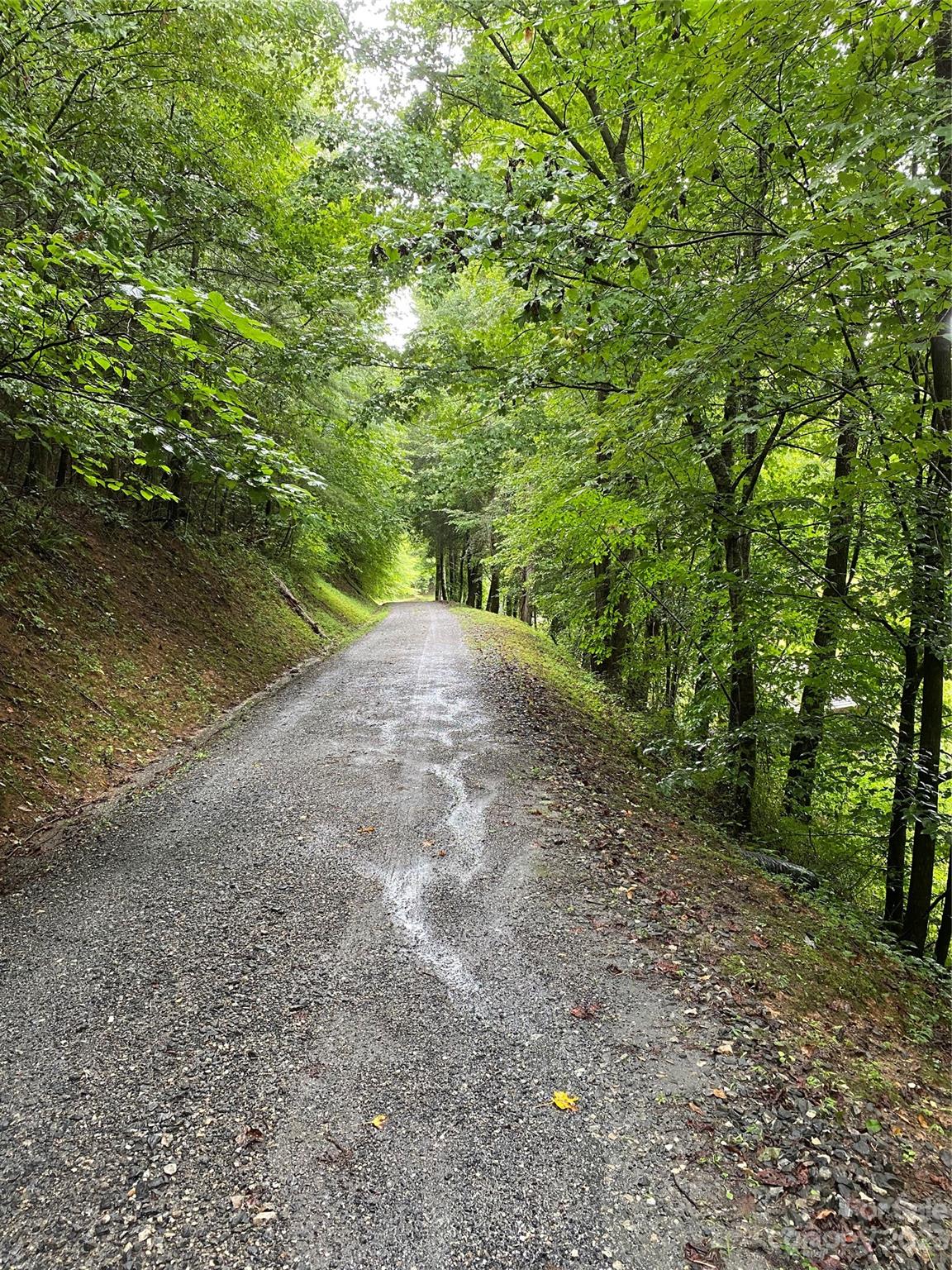 3113 Revere Road Marshall, NC 28753 - Photo 46 of 47 a view of a yard with a tree