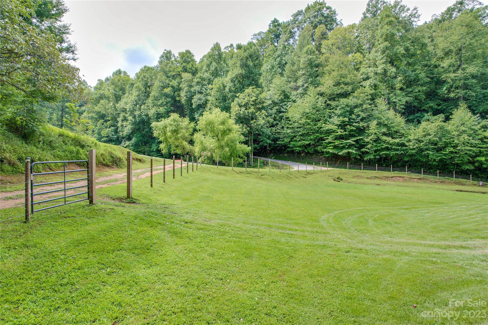 3113 Revere Road Marshall, NC 28753 - Photo 5 of 47 a view of a field with a tree