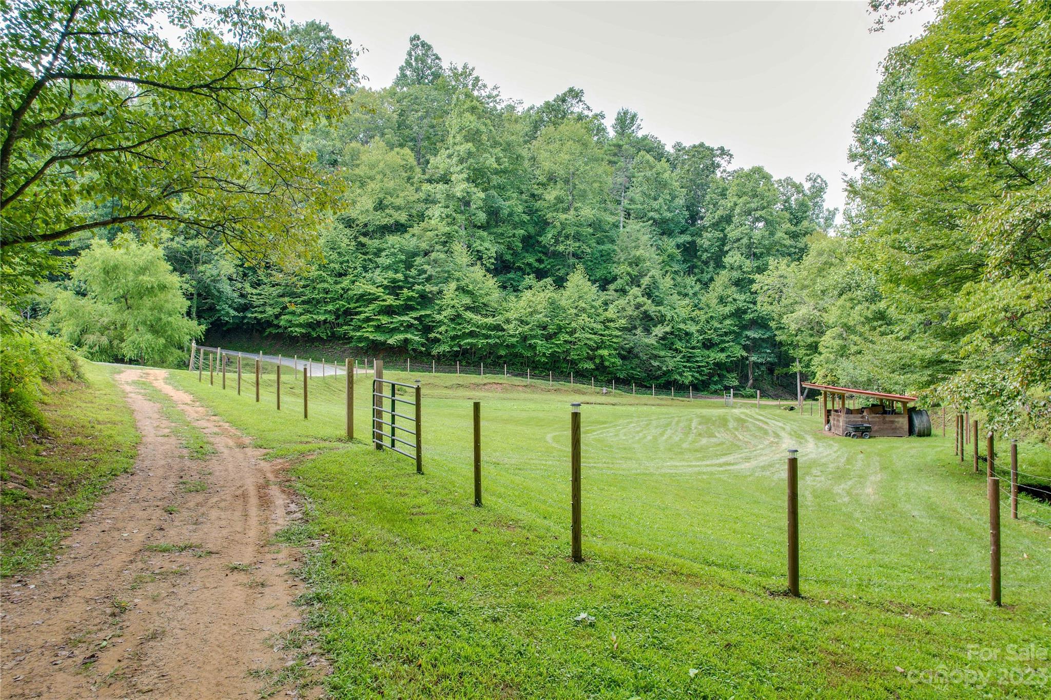 3113 Revere Road Marshall, NC 28753 - Photo 8 of 47 a view of a park with large trees