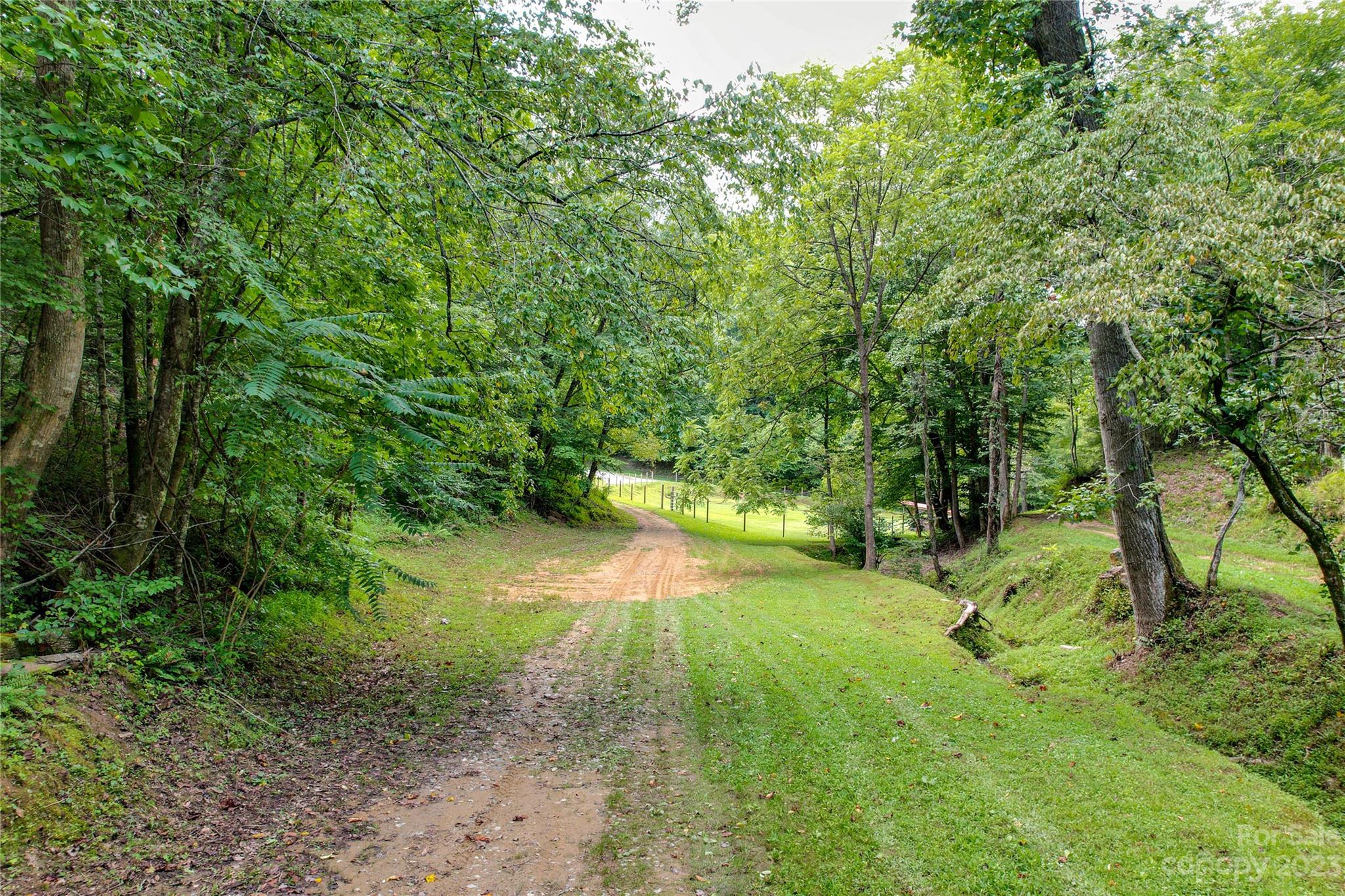 3113 Revere Road Marshall, NC 28753 - Photo 9 of 47 a view of yard