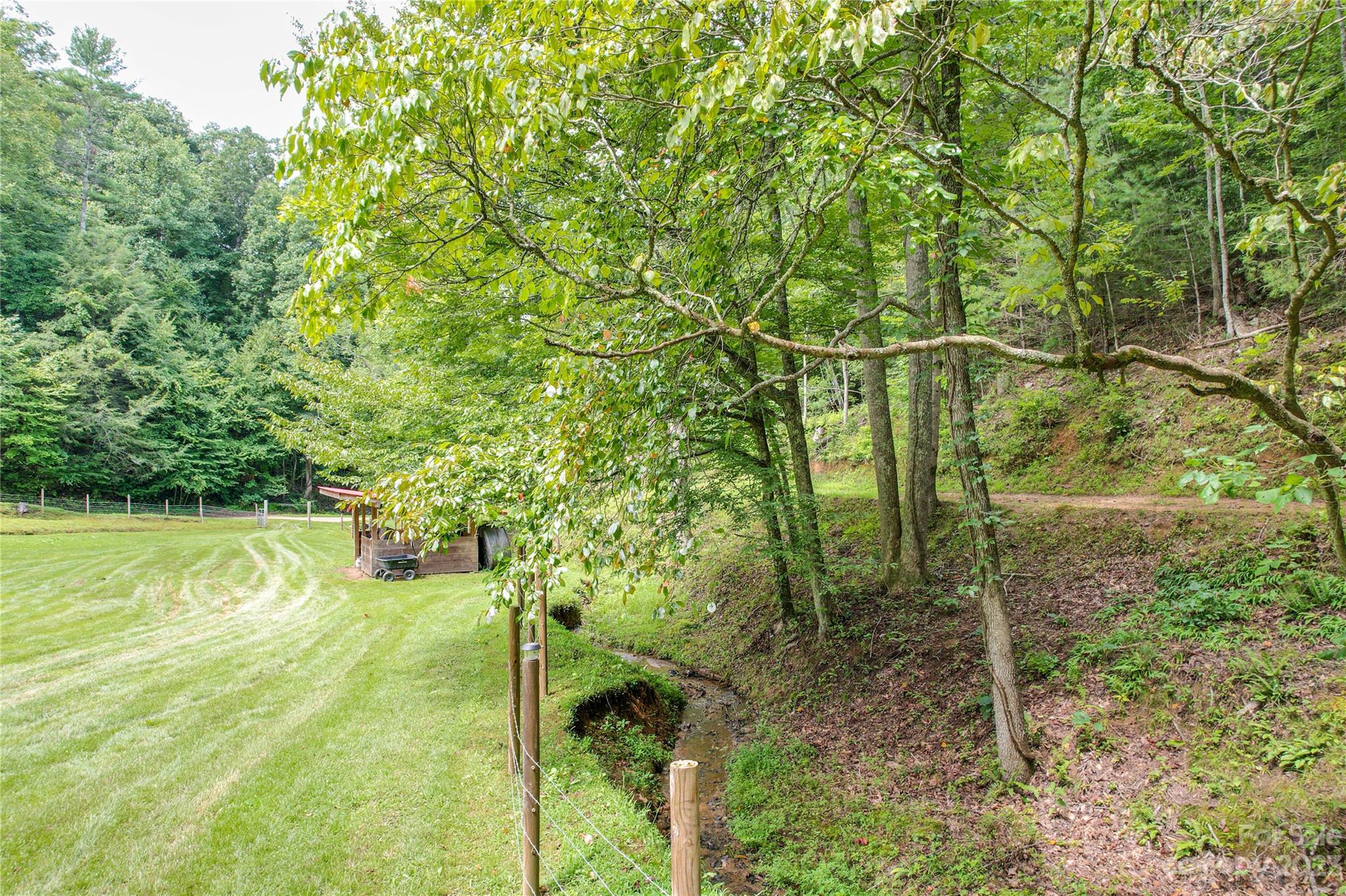 3113 Revere Road Marshall, NC 28753 - Photo 10 of 47 a backyard of a house with lots of plants and trees