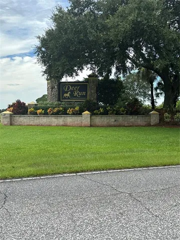 a view of a garden with large trees