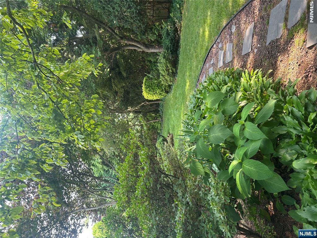 794 Arbor Road Paramus, NJ 07652 - Photo 3 of 3 a view of a garden with plants