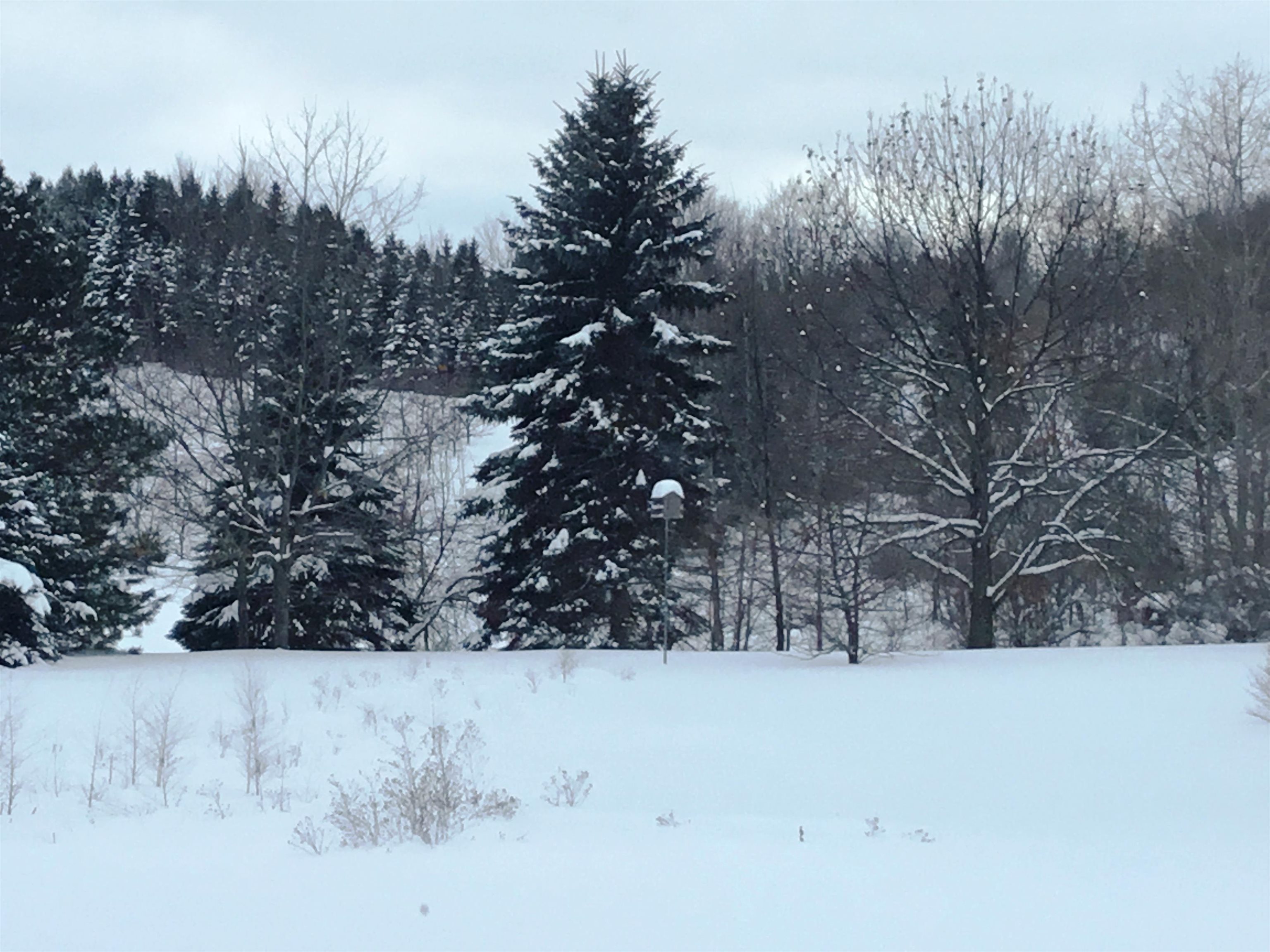 0 East Pine View Suttons Bay, MI 49682 - Photo 1 of 7