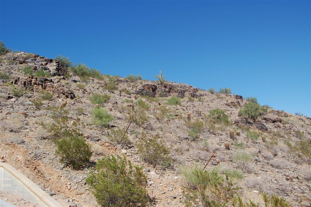 7025 North Invergordon Road Paradise Valley, AZ 85253 - Photo 13 of 19 Front