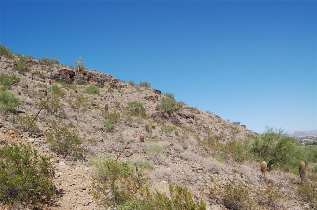 7025 North Invergordon Road Paradise Valley, AZ 85253 - Photo 15 of 19 Front