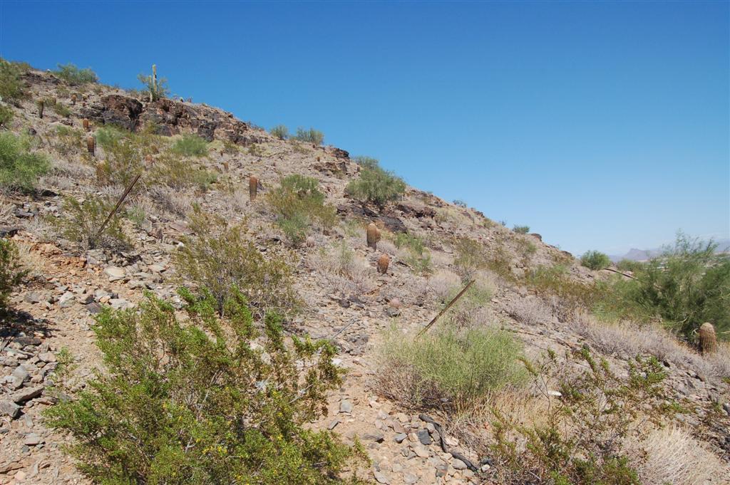 7025 North Invergordon Road Paradise Valley, AZ 85253 - Photo 4 of 19 Front