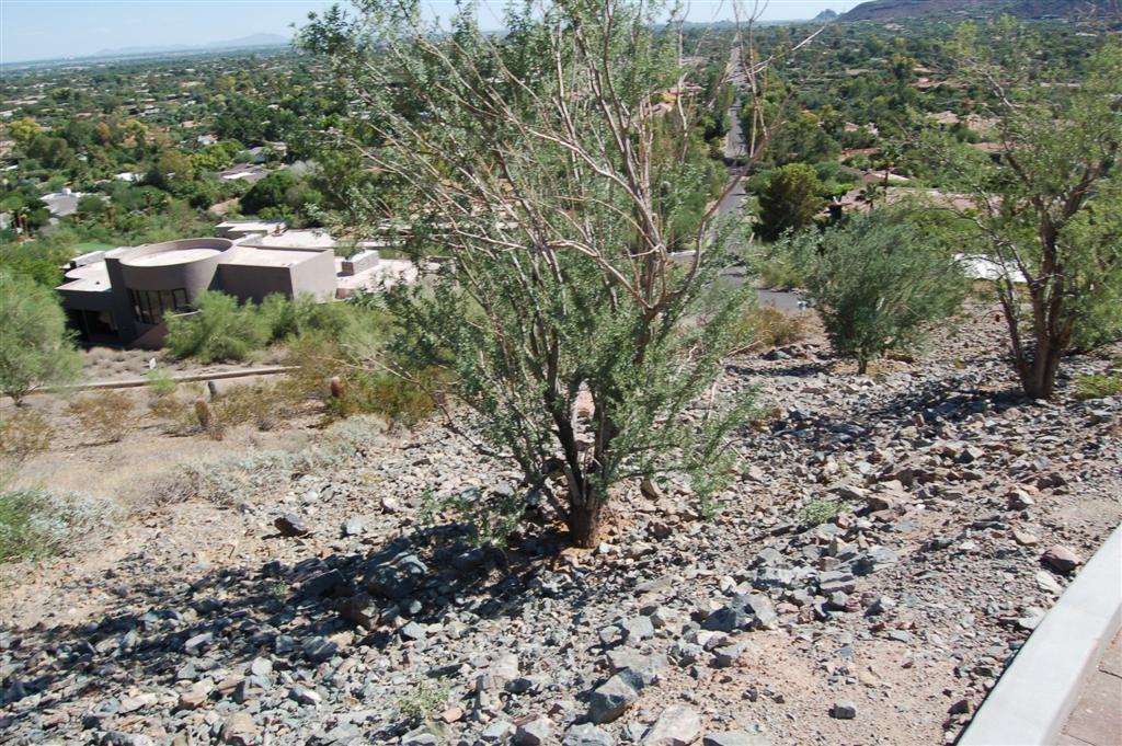 7025 North Invergordon Road Paradise Valley, AZ 85253 - Photo 9 of 19 Front
