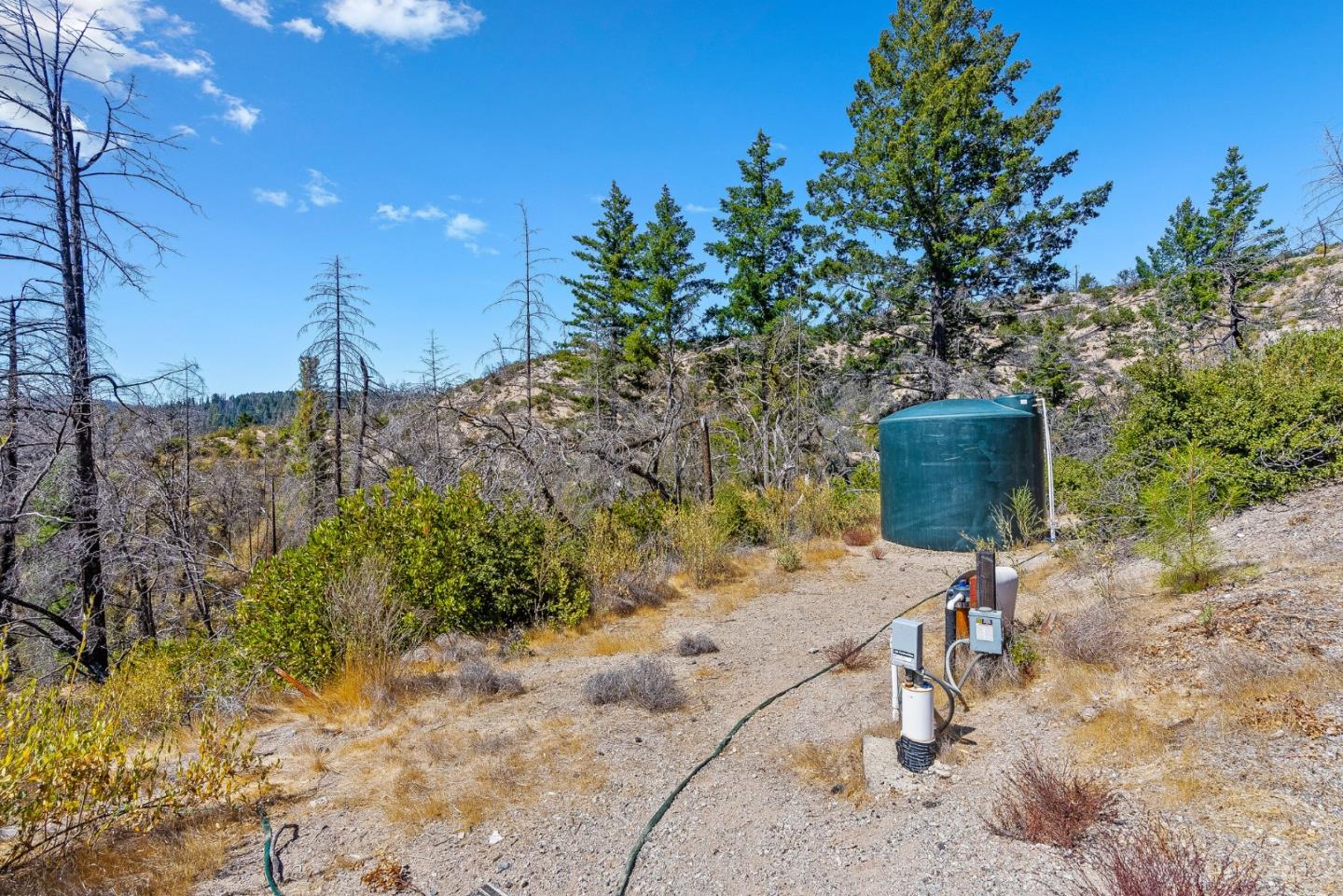 500 Hill House Road Boulder Creek, CA 95006 - Photo 12 of 22 a view of outdoor space and yard