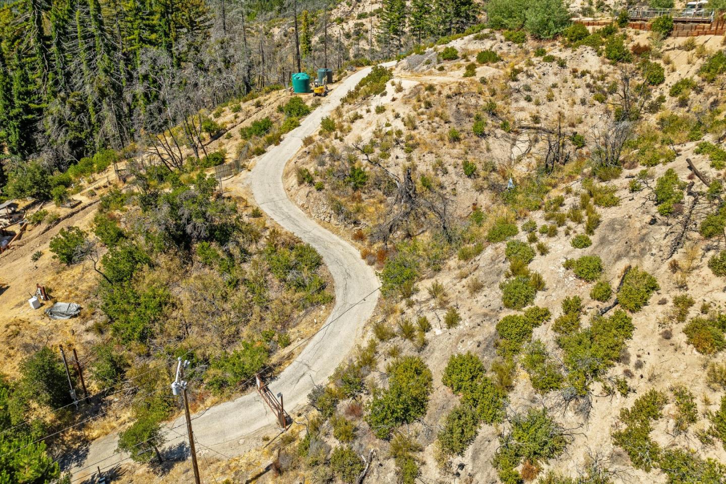 500 Hill House Road Boulder Creek, CA 95006 - Photo 19 of 22 a view of a yard with flower plants
