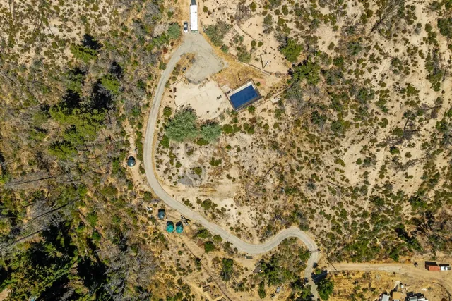 a view of a yard with a tree