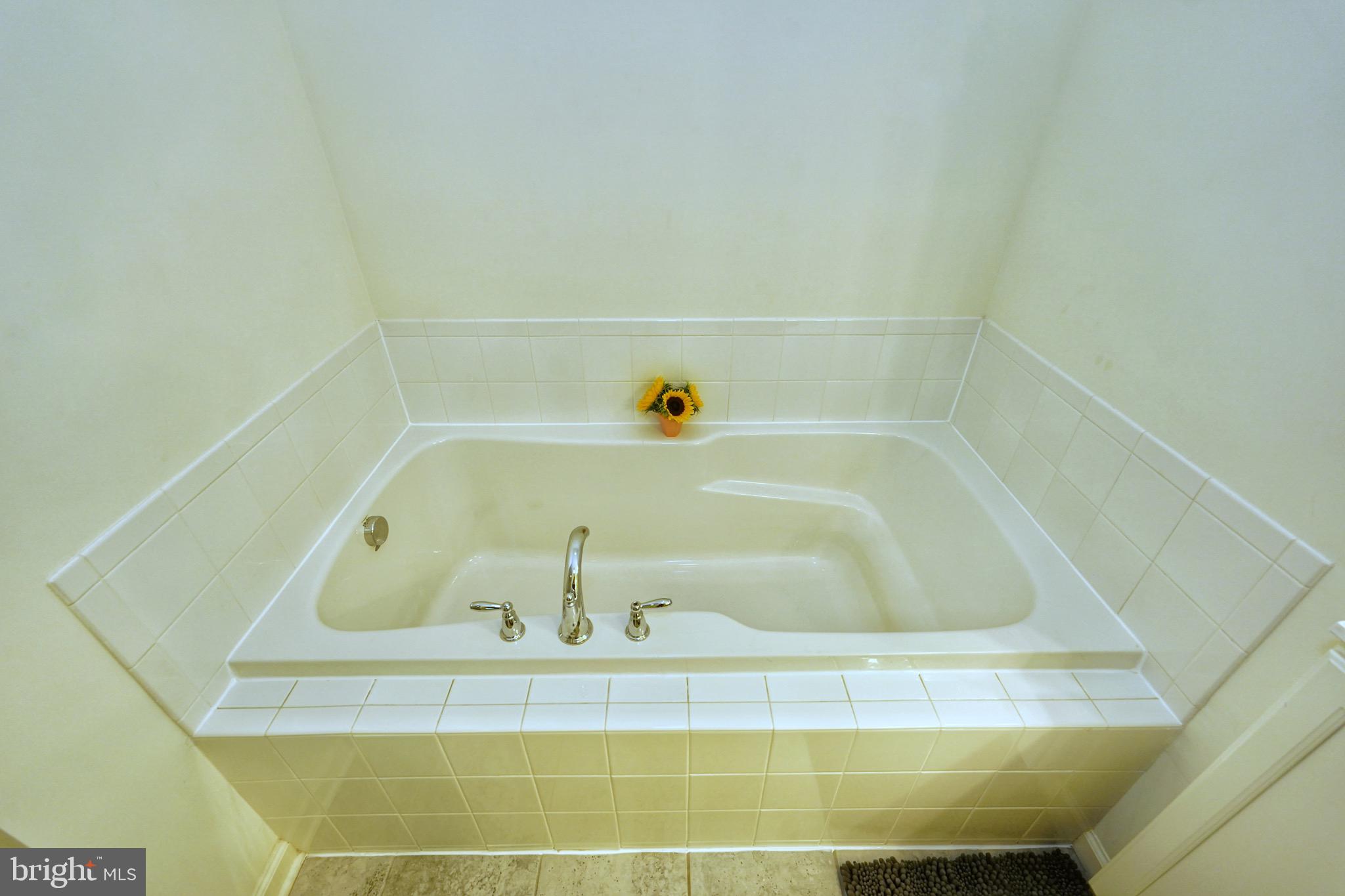 117 Sirius Drive Bear, DE 19701 - Photo 20 of 45