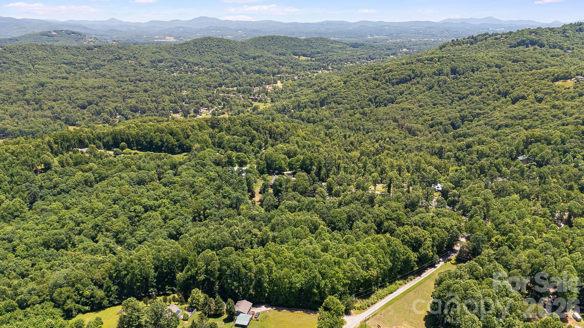 43 Reeses Ridge Court Hendersonville, NC 28739 - Photo 3 of 4