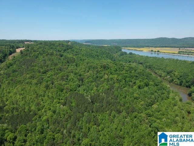 0 Pea Ridge Circle, Unit 424 Union Grove, AL 35175 - Photo 3 of 49
