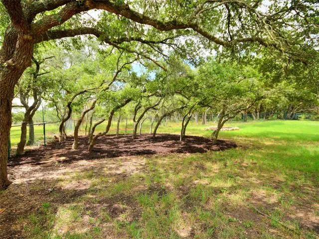 a view of a backyard