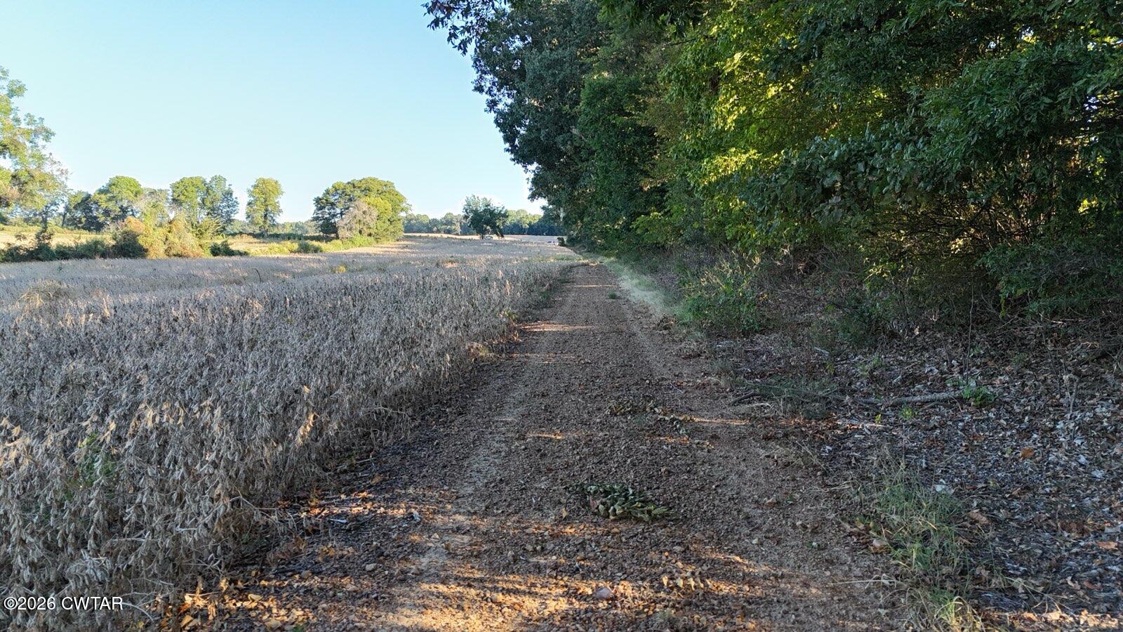 0 Biffle Road Newbern, TN 38059 - Photo 3 of 8 dji_fly_2 (51)