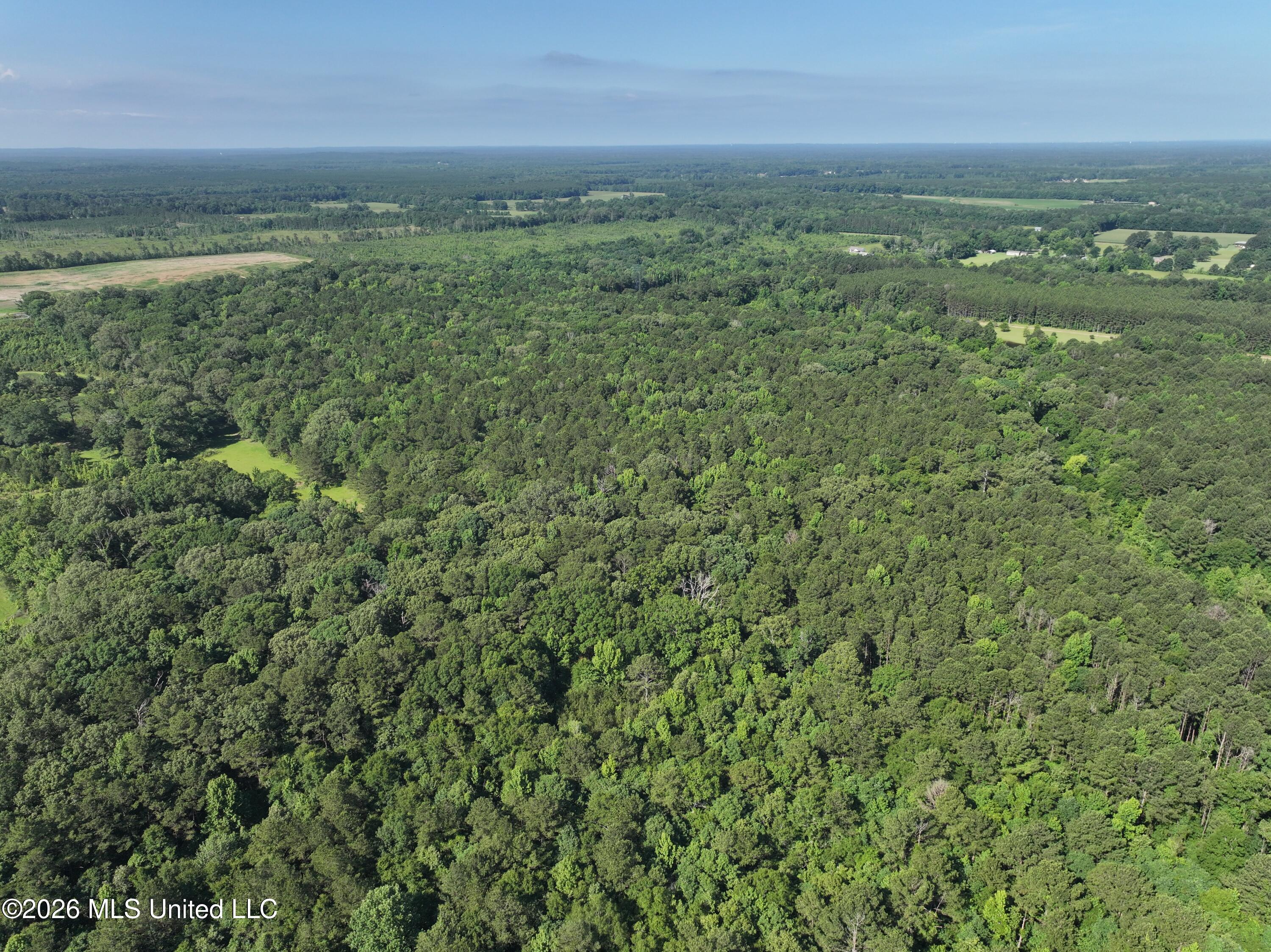 J C Prestage Road Pelahatchie, MS 39145 - Photo 4 of 24 BECA3A34-442E-4F4A-980C-808ACE8761A9