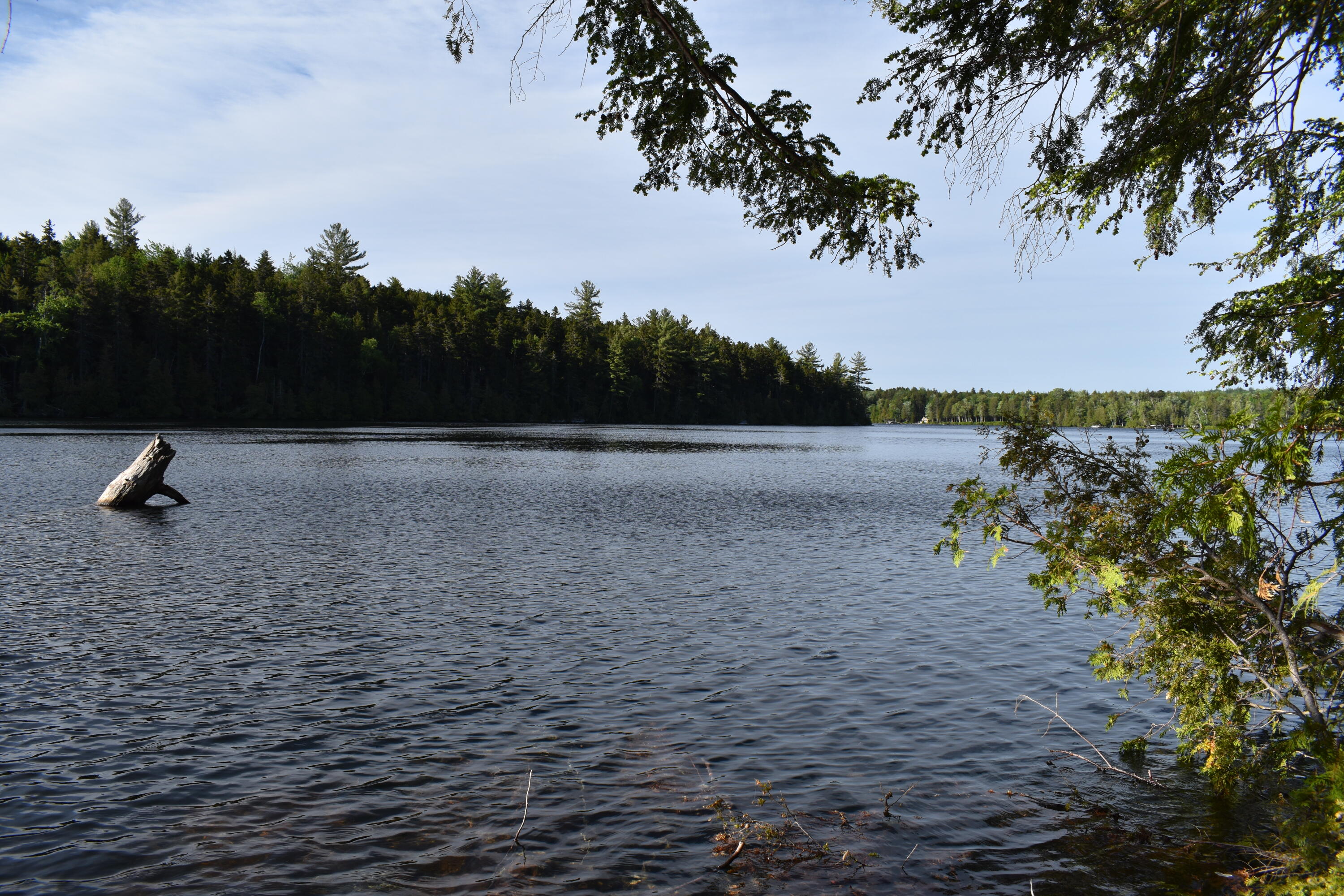 Lot 1-b-9 Lot 1-b-9 Road Weston, ME 04424 - Photo 2 of 22 DSC_0153