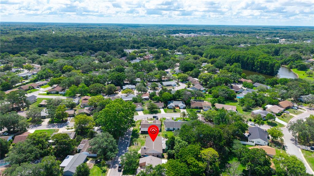 8702 Powderhorn Row Hudson, FL 34667 - Photo 39 of 44