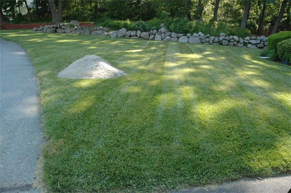 2 Sylvia Road Peabody, MA 01960 - Photo 3 of 23