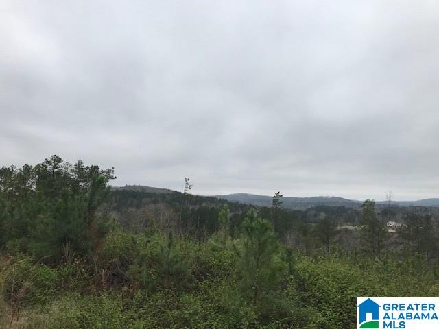 57 Peace Road Piedmont, AL 36272 - Photo 21 of 22