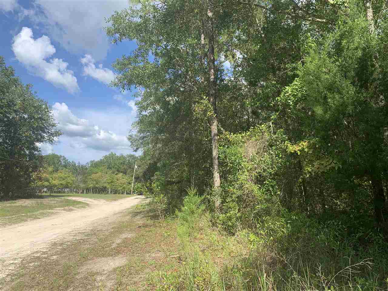 0 O Quinn Road Perry, FL 32348 - Photo 3 of 7