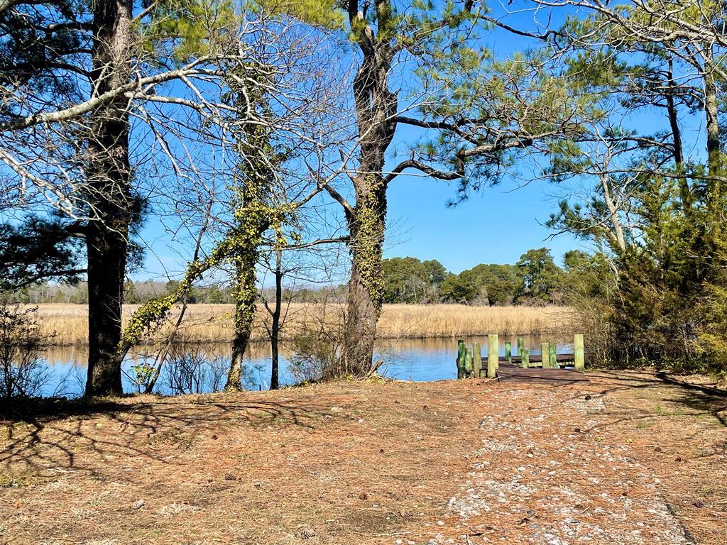 Lot 31 Miles Road, Unit 31 New Church, VA 23415 - Photo 23 of 24