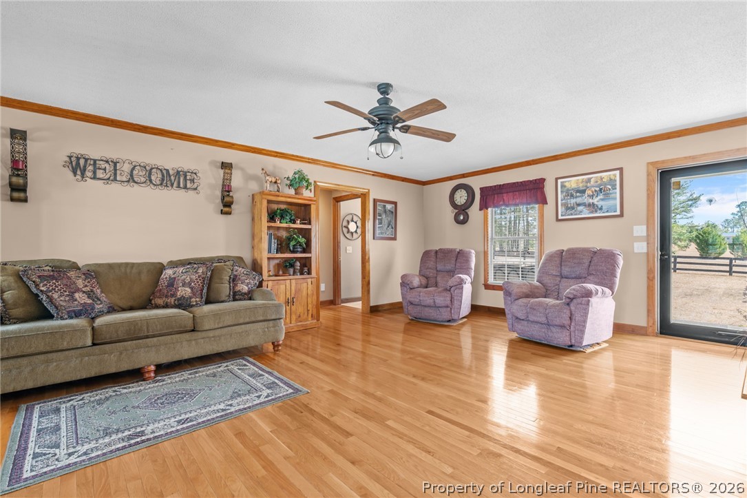 4240 Nicholson Road Cameron, NC 28326 - Photo 27 of 49 a living room with fireplace furniture and a wooden floor