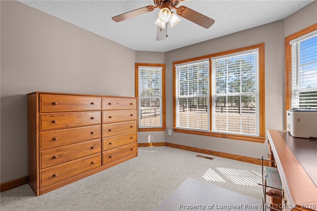 4240 Nicholson Road Cameron, NC 28326 - Photo 31 of 49 a spacious bedroom with a bed and a large window