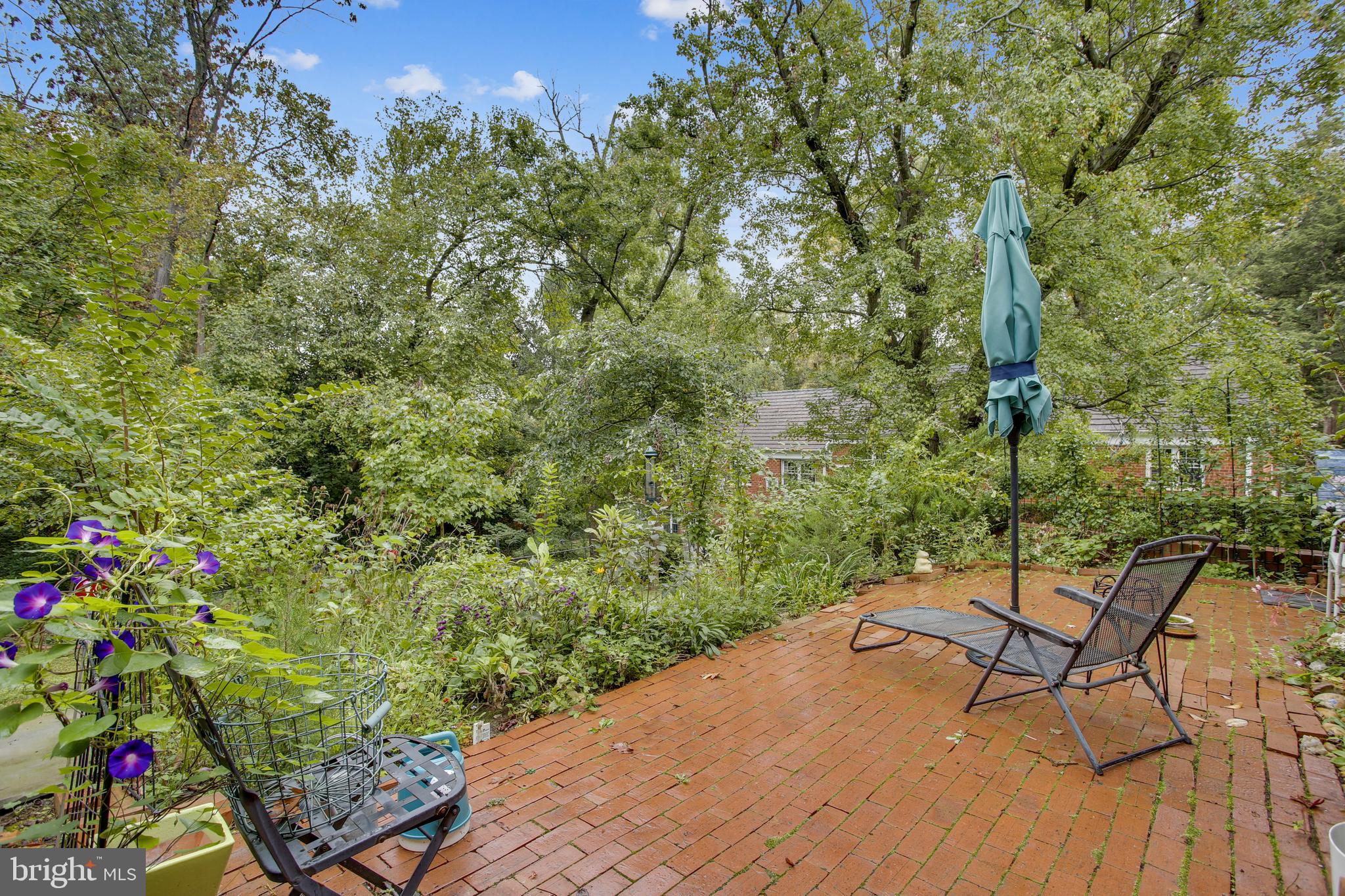 1673 Preston Road, Unit 954 Alexandria, VA 22302 - Photo 32 of 54 Flowers