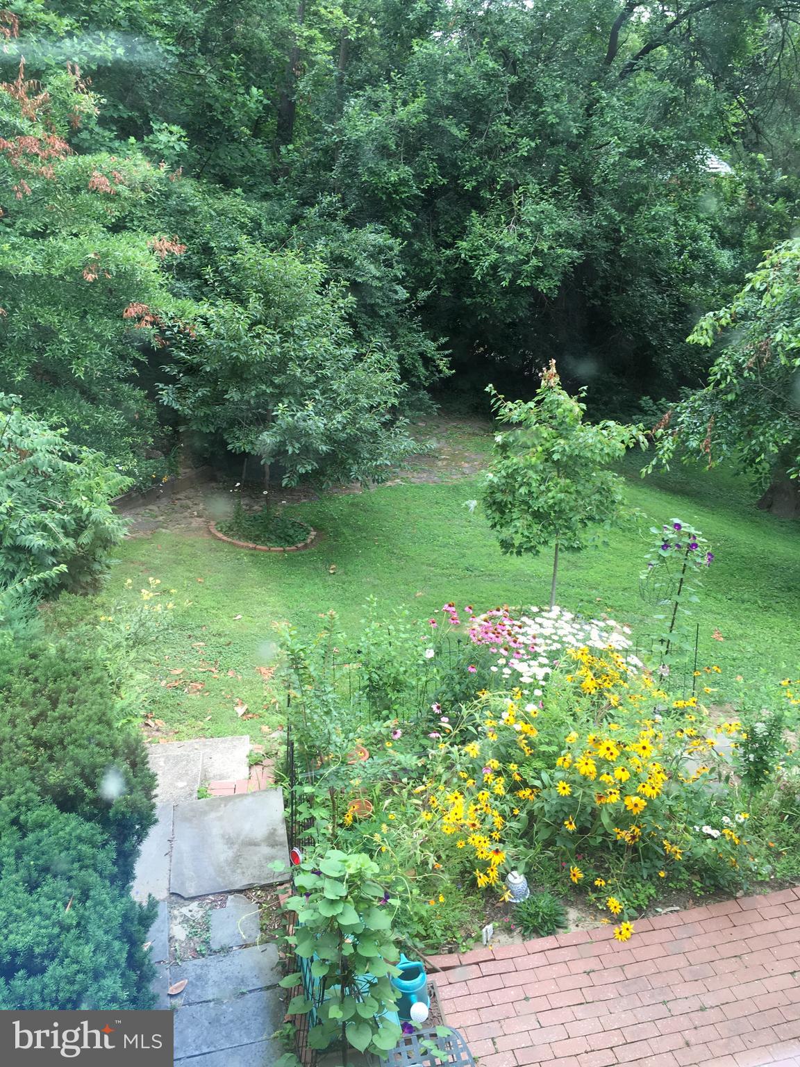 1673 Preston Road, Unit 954 Alexandria, VA 22302 - Photo 36 of 54 Yard View