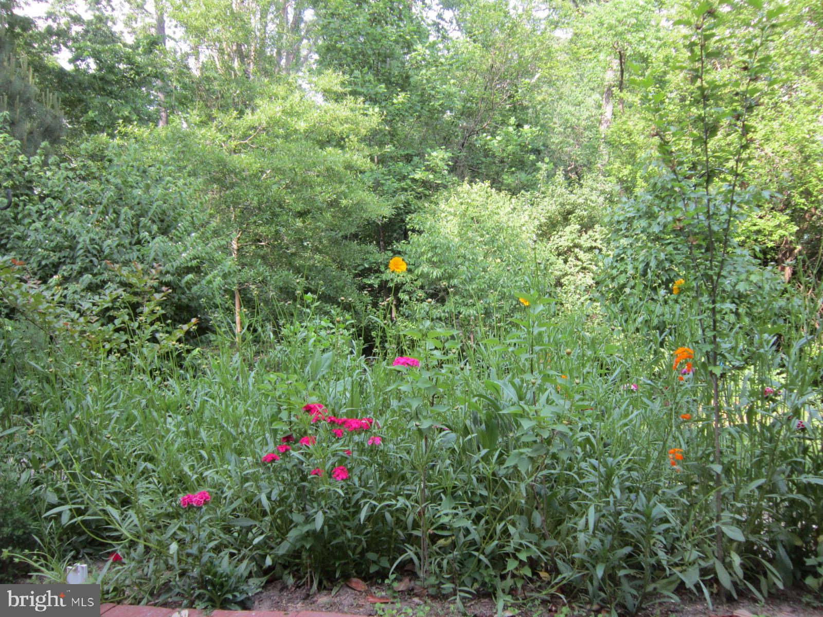 1673 Preston Road, Unit 954 Alexandria, VA 22302 - Photo 42 of 54 Flowers