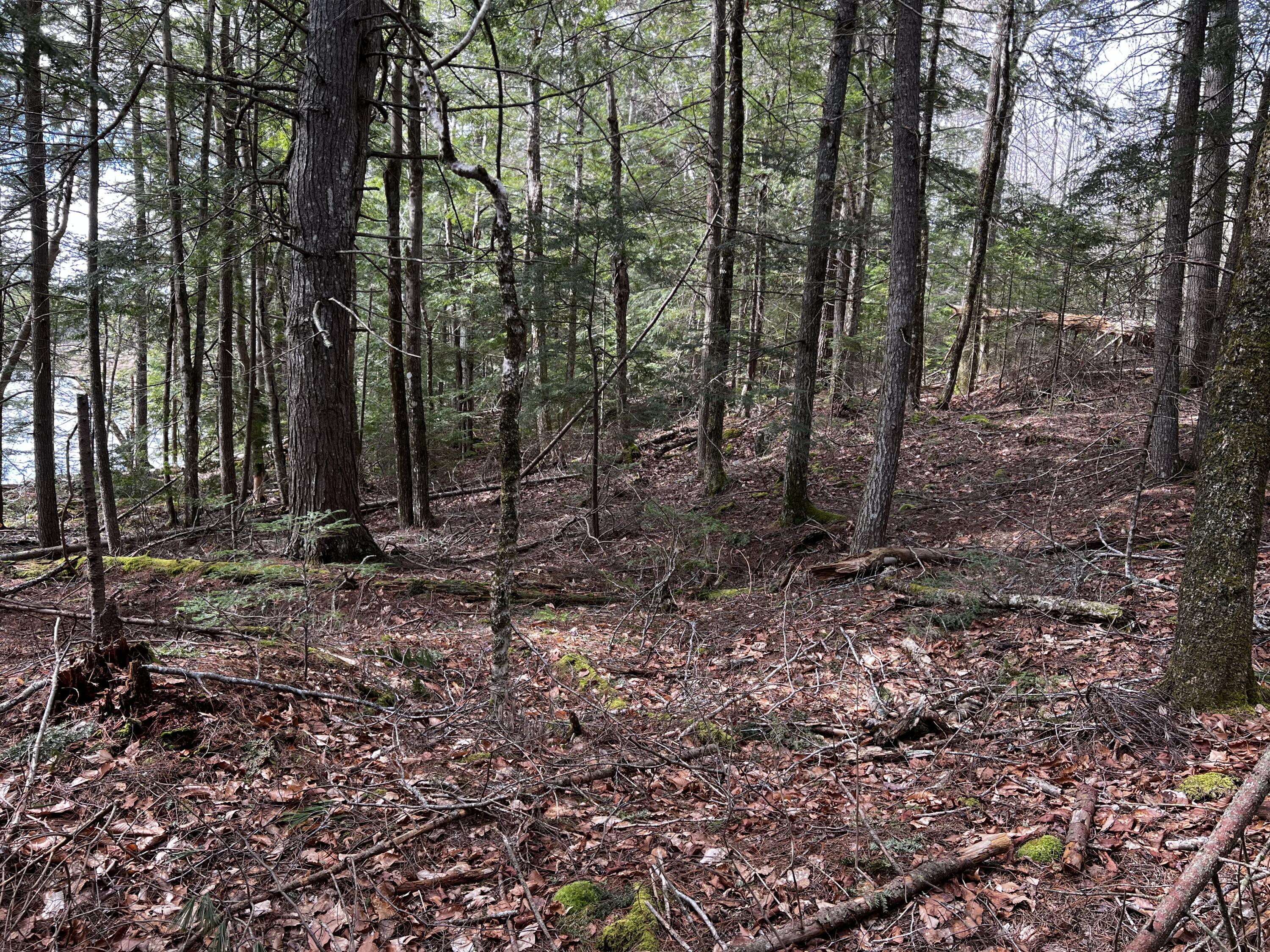 Lot 69 Campground Road Searsport, ME 04974 - Photo 13 of 46 IMG_9602