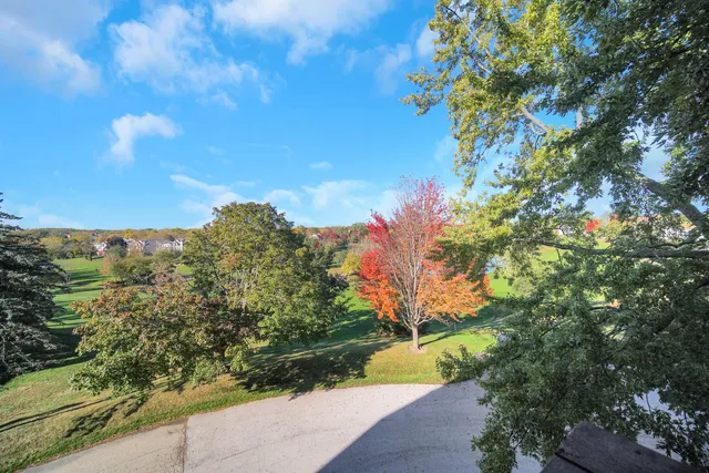 a view of a yard with flower plants