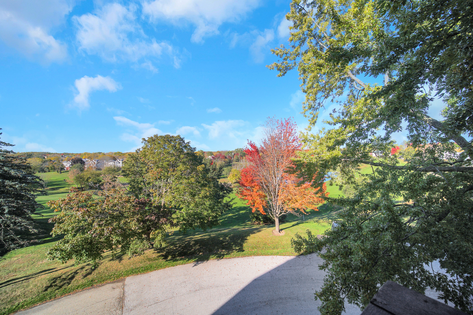 690 Chandler Road, Unit 302 Gurnee, IL 60031 - Photo 30 of 51 a view of a yard with flower plants