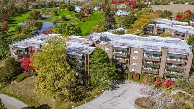 a aerial view of a house with plants and large trees