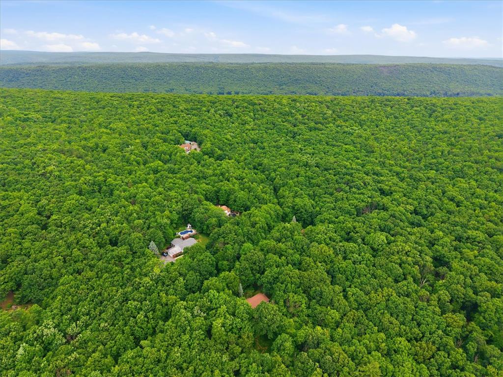 520 Highland Hill Road Jim Thorpe, PA 18235 - Photo 80 of 83 Discover a private woodland retreat featuring a secluded home nestled within verdant forestland, offering unparalleled tranquility.
