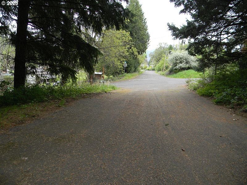 Sophie Lane Carson, WA 98610 - Photo 3 of 10 a view of a road with trees in the background