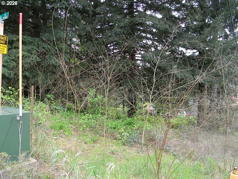 Sophie Lane Carson, WA 98610 - Photo 5 of 10 a view of a garden